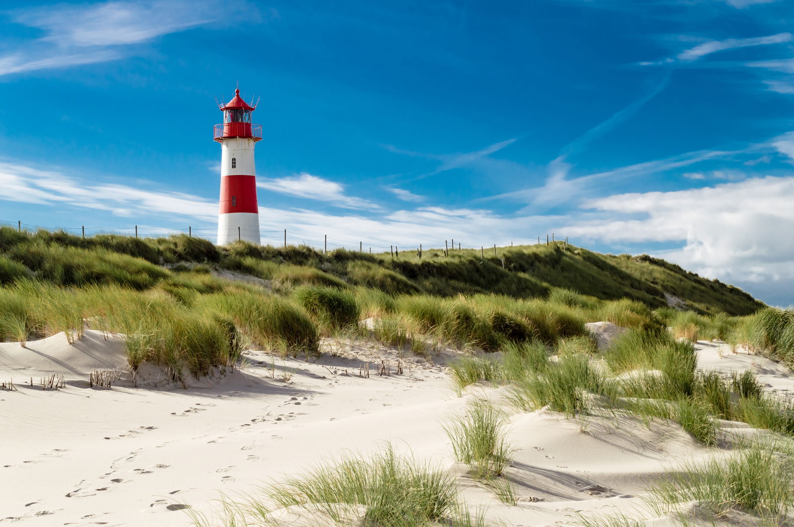 sylt