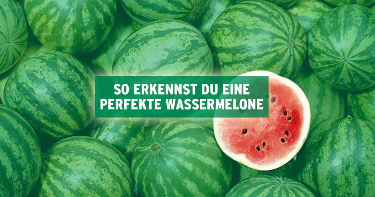 WASSERMELONE