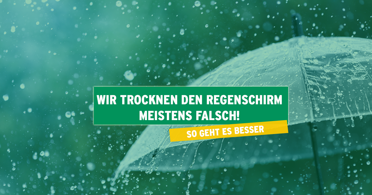 regenschirm