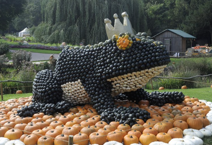 Kürbisfestival Lichtenwalde