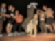 50.000 euro zum teilen 5 broken beat crew
