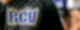 Riesaer Cheerleaderverein e. V.