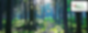 Thementag Wald Jacob