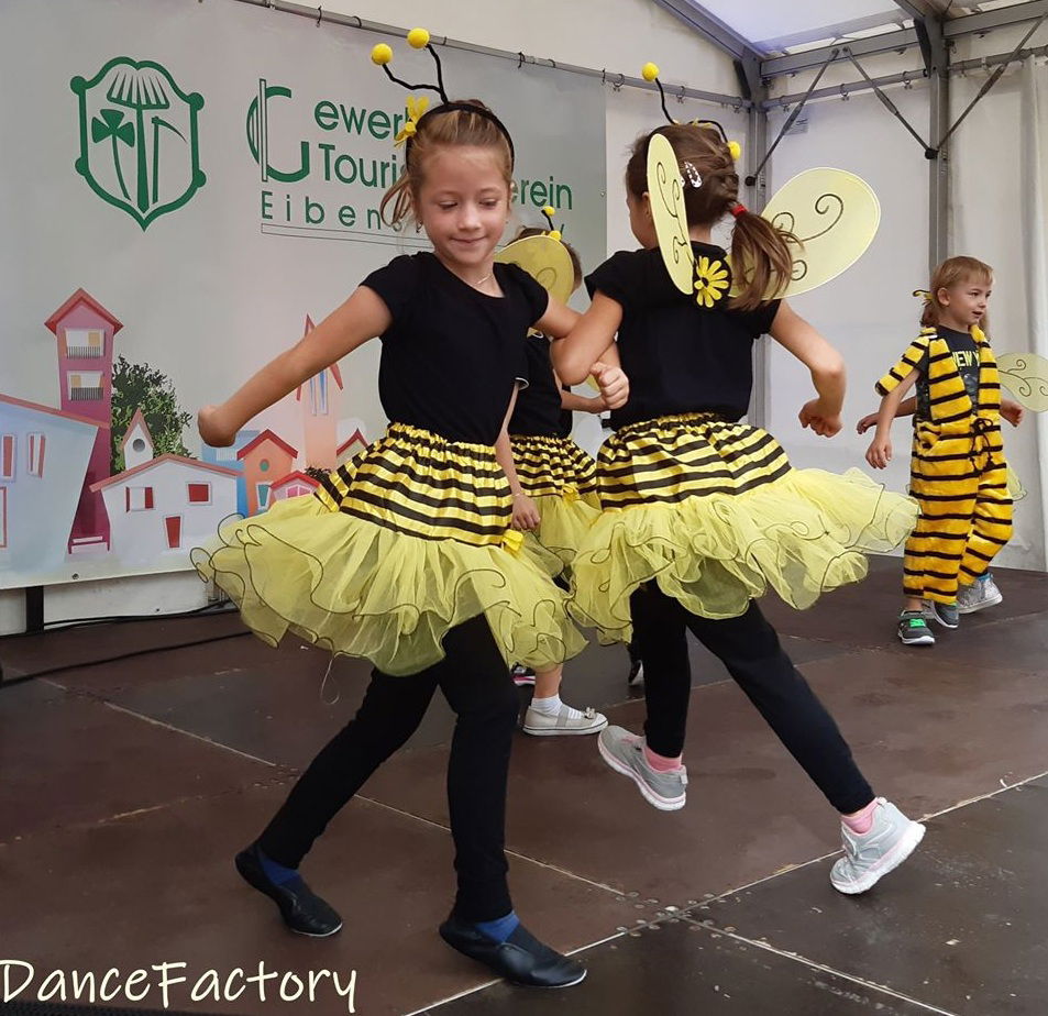 50.000€ zum Teilen | DANCE FACTORY Eibenstock