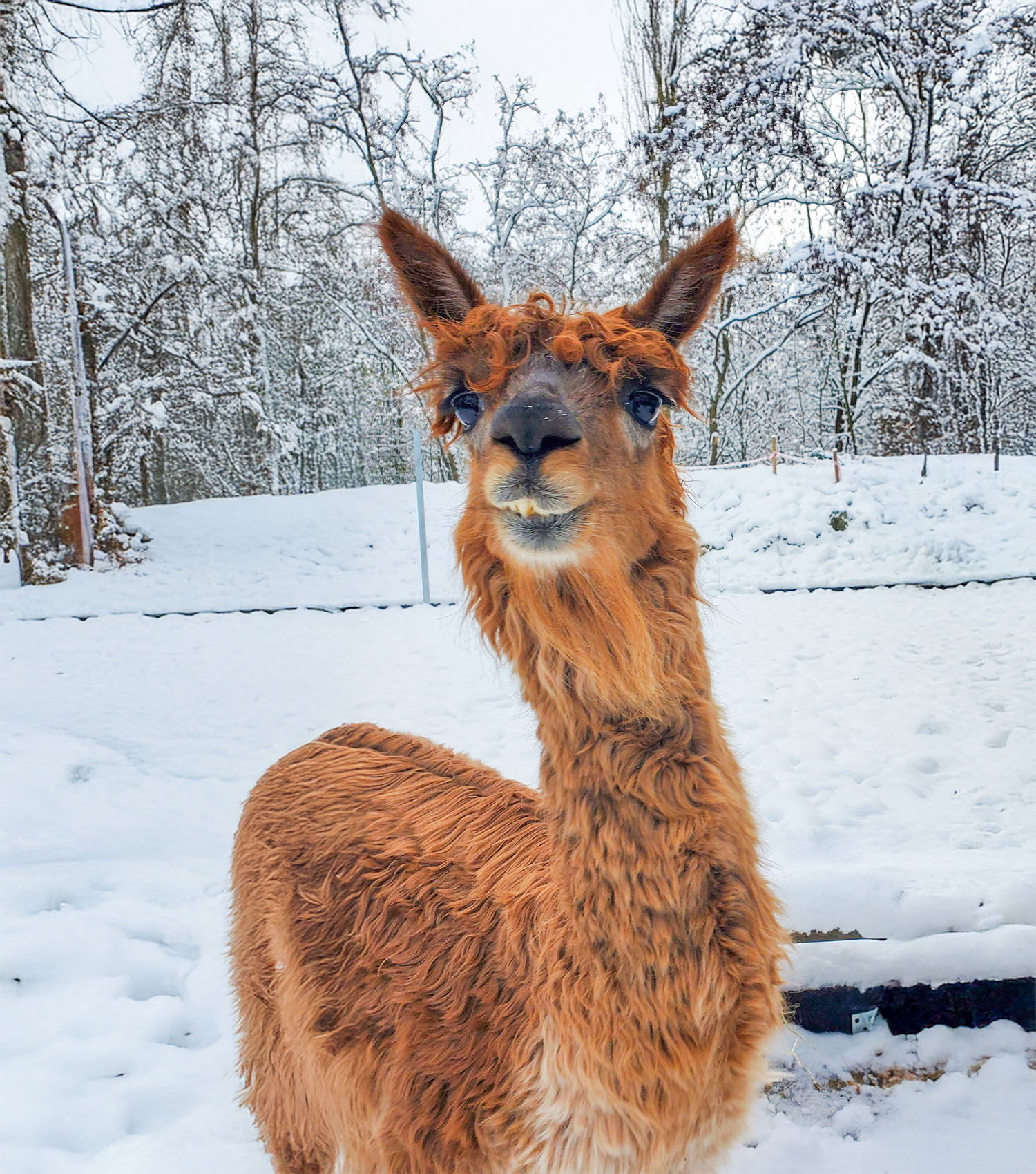 50.000€ zum Teilen | Richtungswechsel e.V. 3