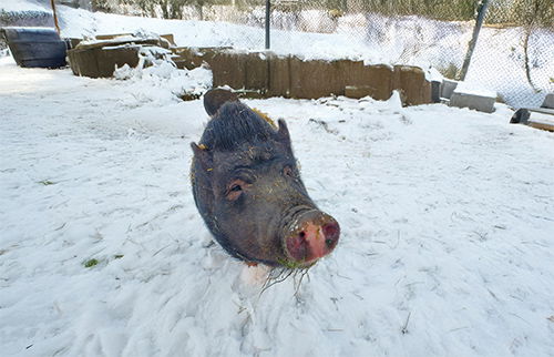 50.000€ zum Teilen | Richtungswechsel e.V. 7