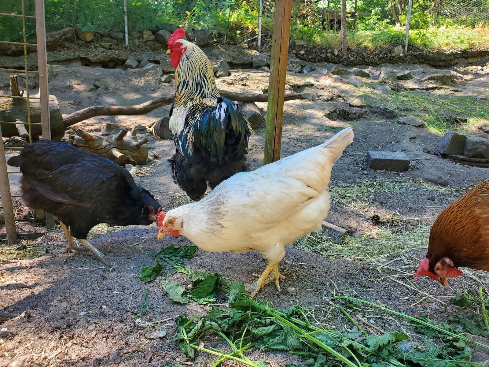 50.000€ zum Teilen | Richtungswechsel e.V. 6