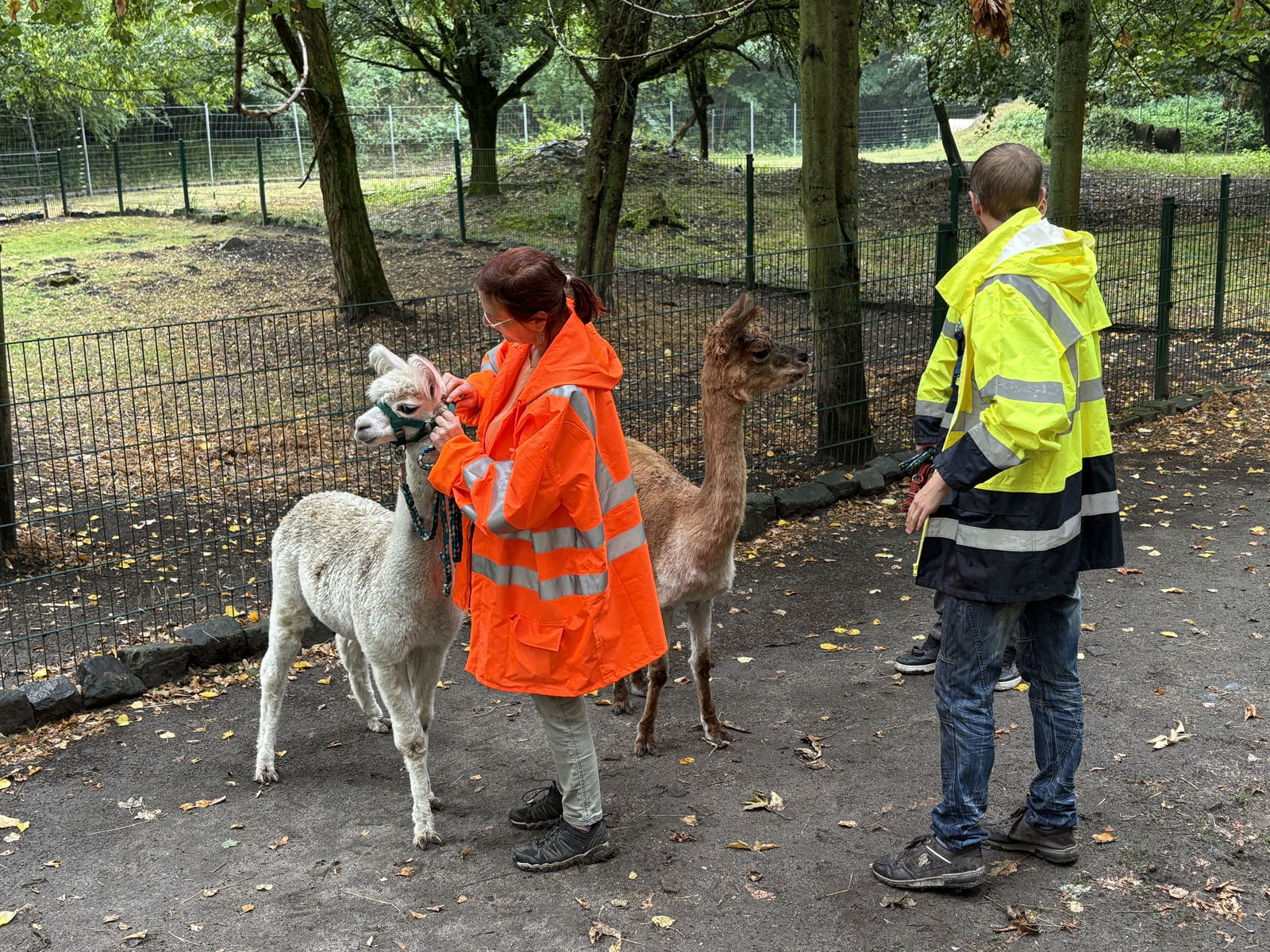 50.000€ zum Teilen | Richtungswechsel e.V. 5