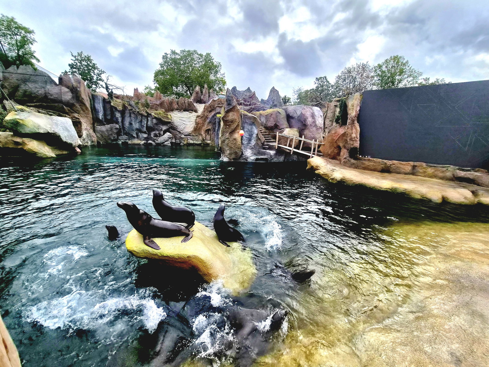 Zoo Leipzig - Seelöwen