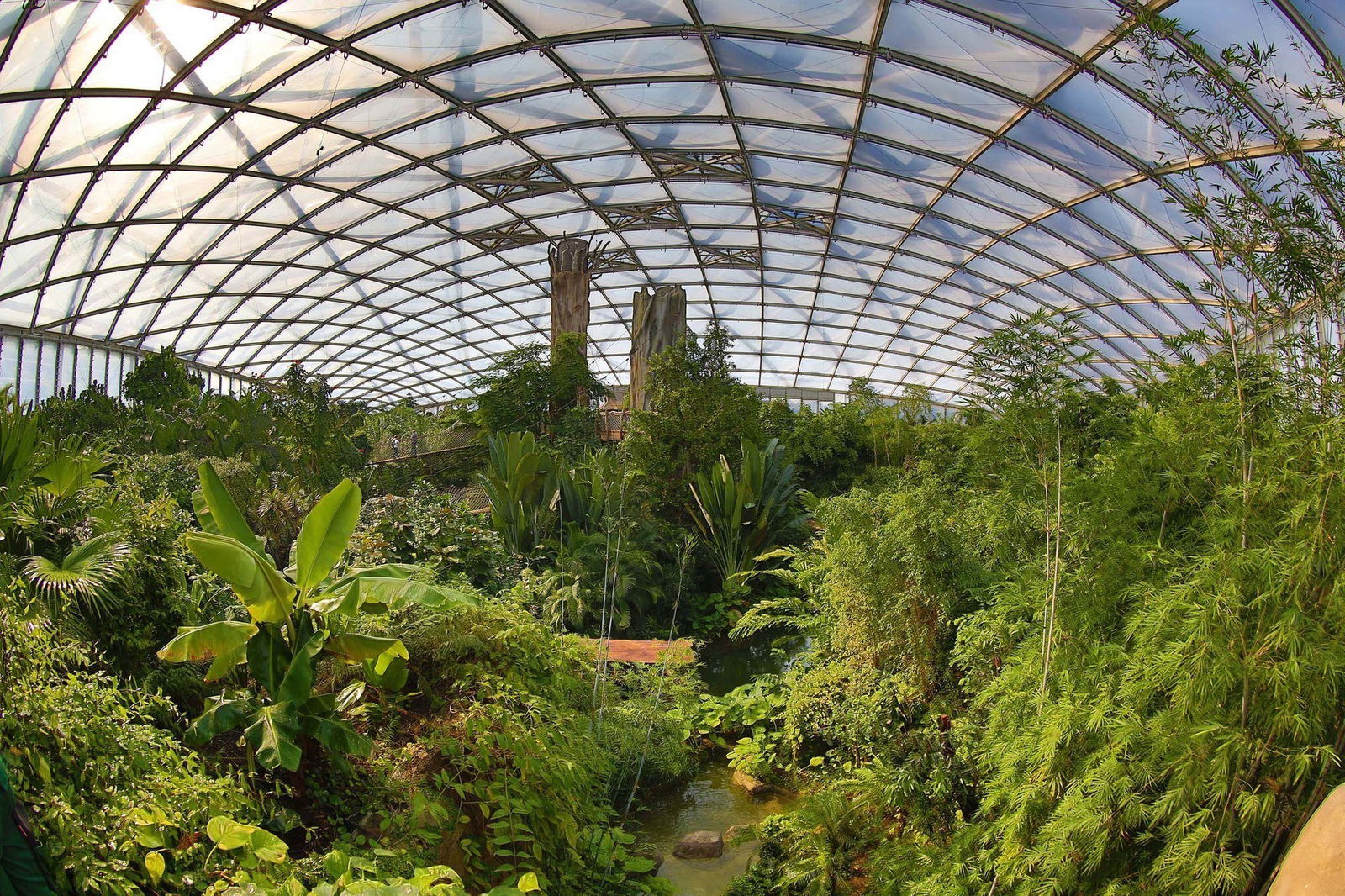 tropenerlebniswelt_gondwanaland_c_zoo_leipzig.jpg
