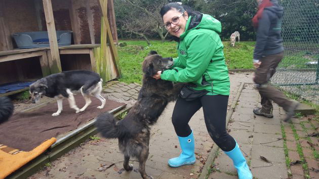 Schlaflos im Hundezwinger - Filip