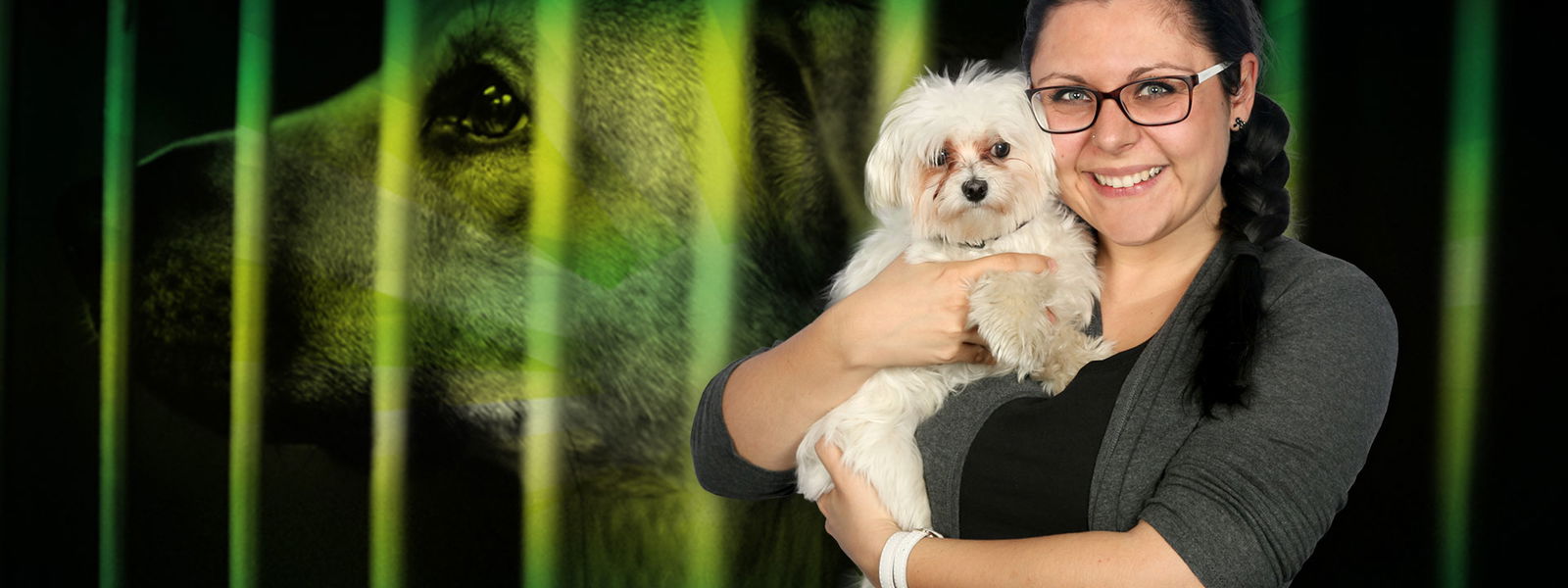 RADIO PSR - Schlaflos im Hundezwinger