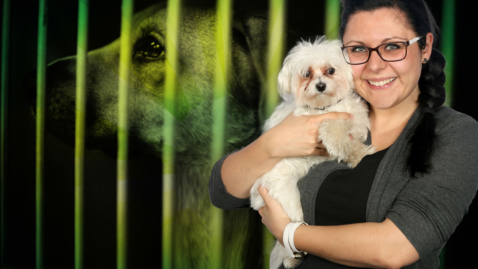 RADIO PSR - Schlaflos im Hundezwinger