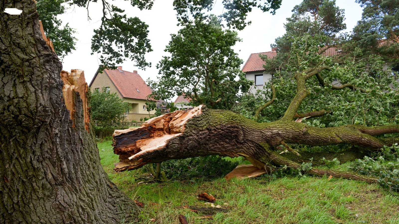 Sturmschaden wer zahlt 